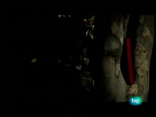 Página Dos - Página 2 - 04/01/09