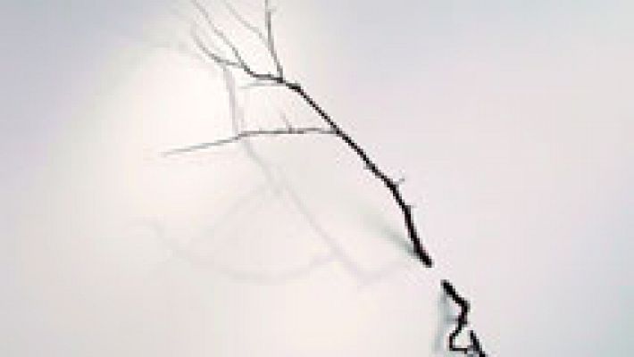 Punts de vista - L'art sorprenent de Cristina Almodóvar