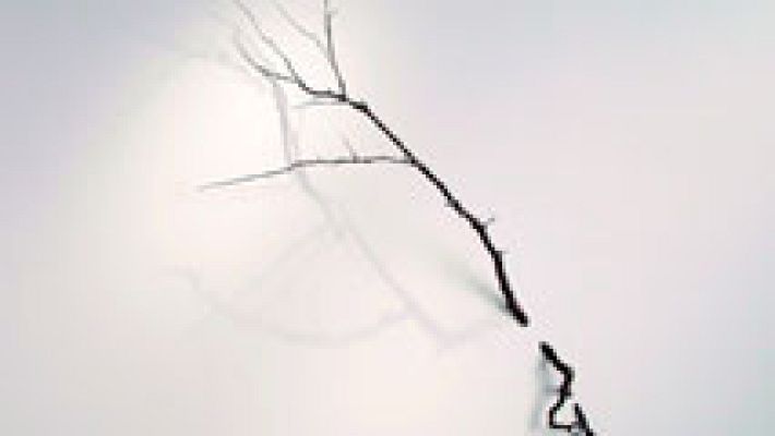 Punts de vista - L'art sorprenent de Cristina Almodóvar