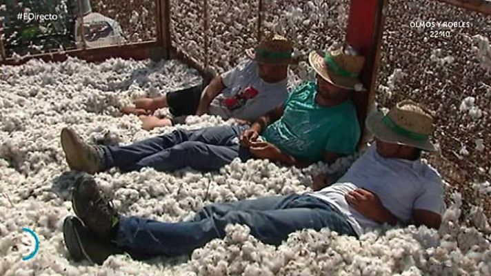 España Directo - España Directo - 10/10/16