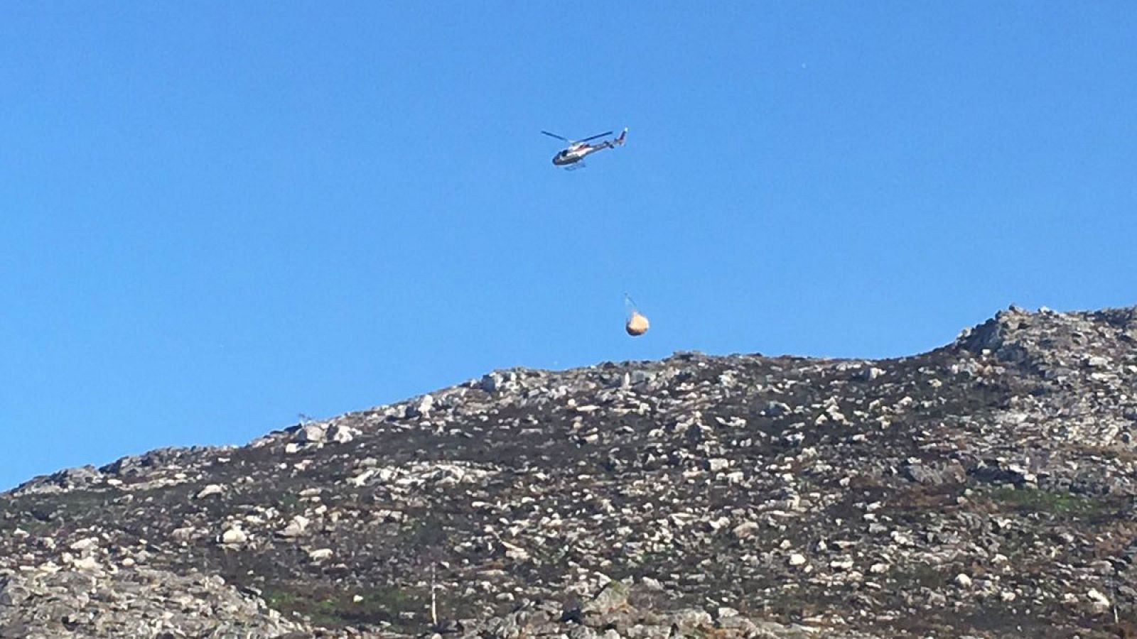 Paja para regenerar el monte quemado