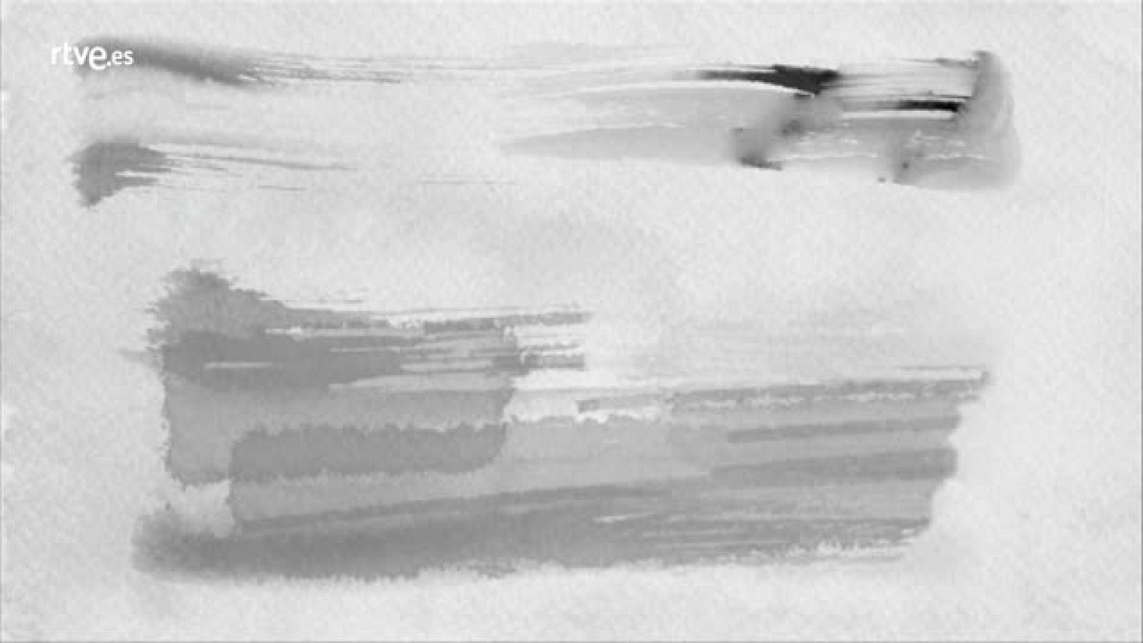 Memoria de Vida.  27/11/1980 - 07/05/1981 | Ver