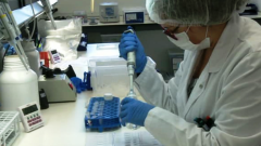 Fábrica de ideas - Imita: Certest Biotec