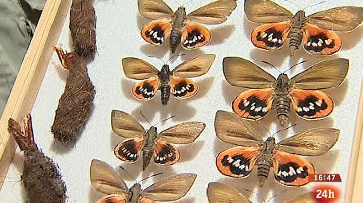 España en 24h - España en 24 horas - 11/10/16