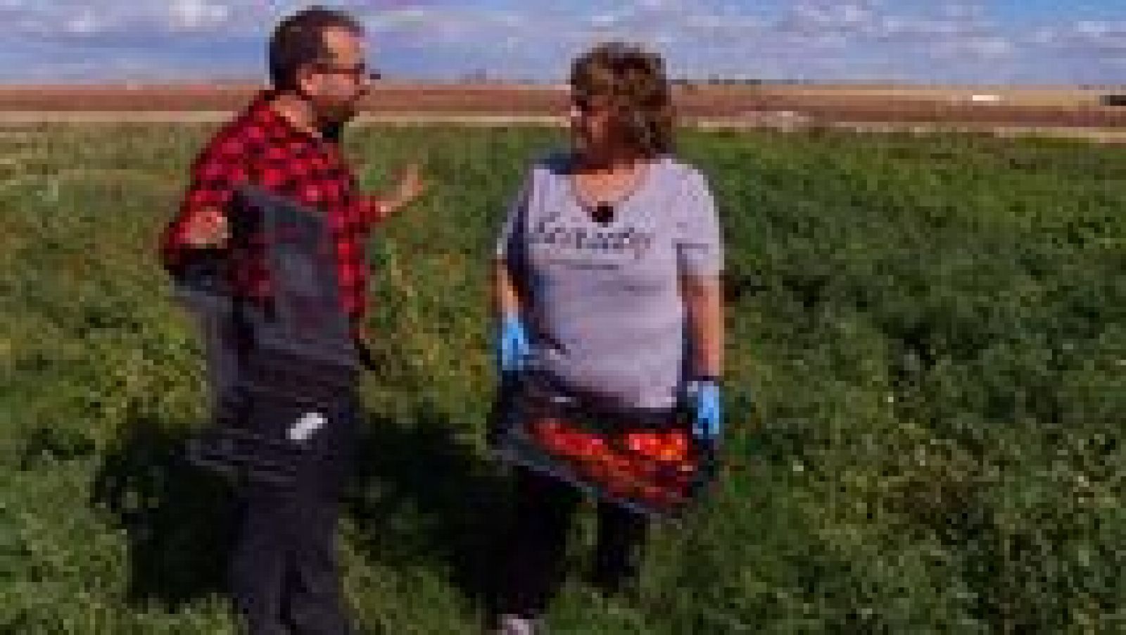 Aquí la tierra - 11/10/16 - ver ahora