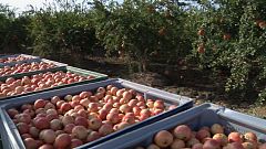 Aquí la tierra - El truco infalible para abrir una granada