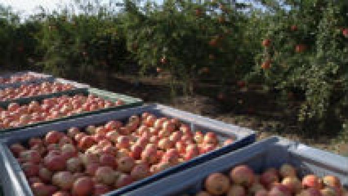 Aquí la Tierra - El truco infalible para abrir una granada