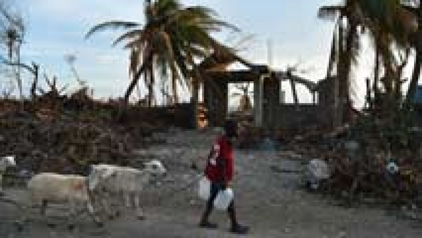 Telediario 1: Haití sigue esperando la llegada de ayuda humanitaria una semana después del huracán Matthew | RTVE Play