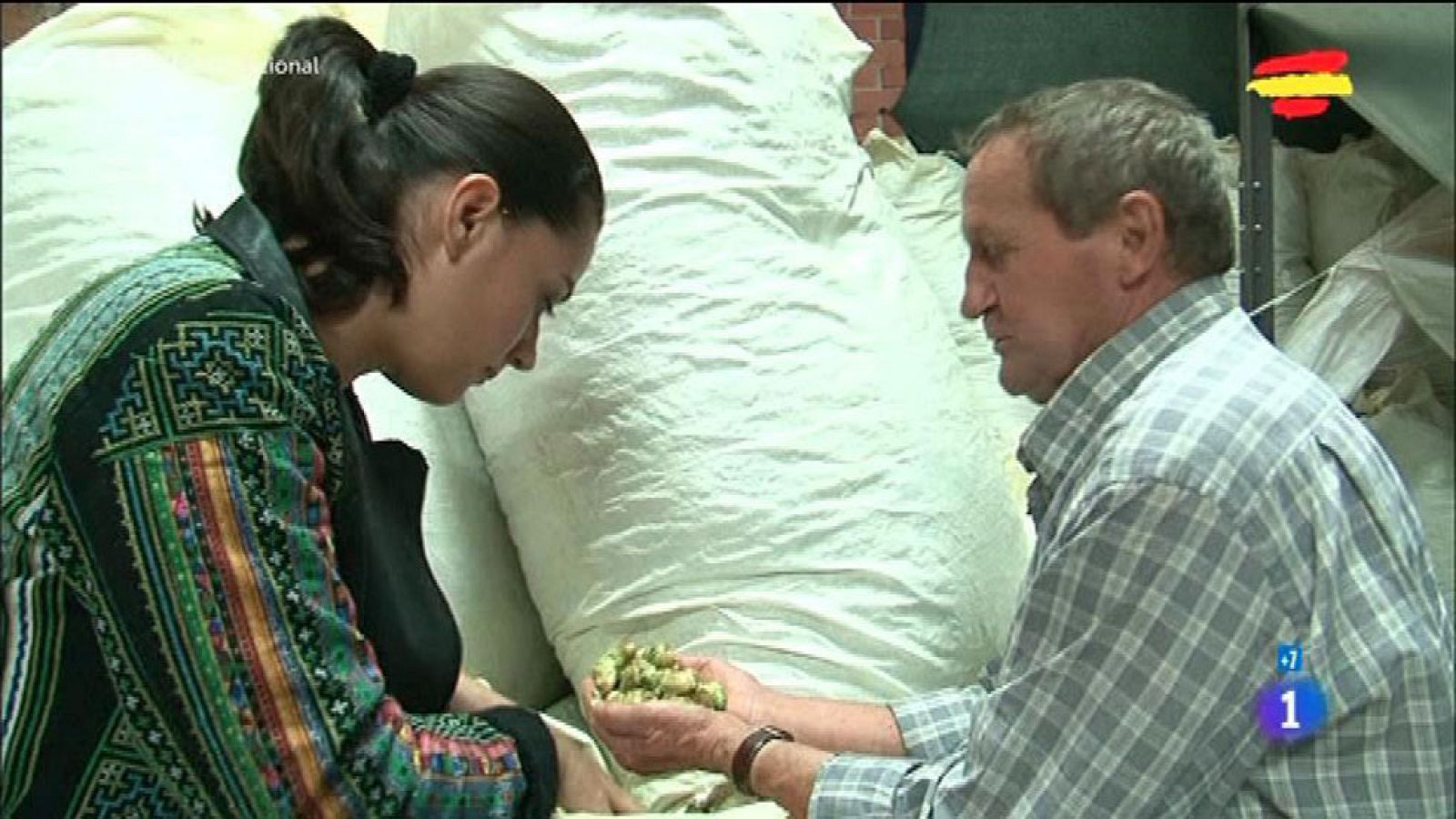 Comando Actualidad - El imperio cervecero - El lúpulo