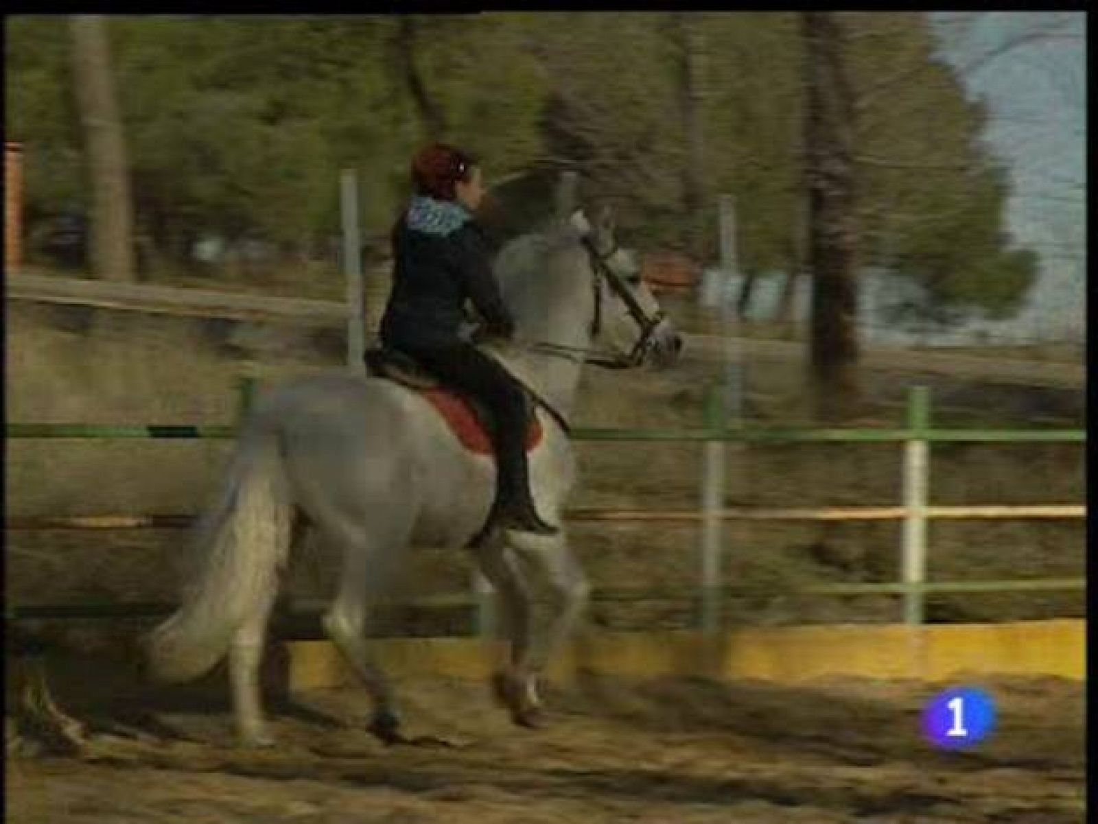 Asesores al servicio de guionistas y actores | Ver