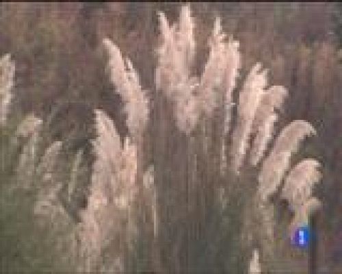 Panorama Regional - Panorama Regional 2 - 13/10/16