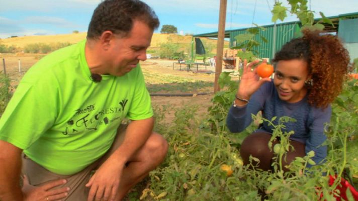 Aquí la Tierra - Madrid sabe a tomate