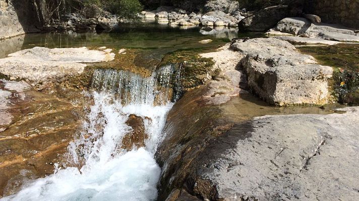 España Directo - Descubriendo la Selva de Irati