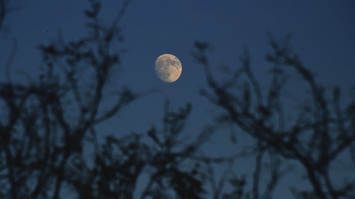 El tiempo - Las temperaturas subirán este fin de semana, lloverá en Baleares, Canarias, Galicia y Asturias