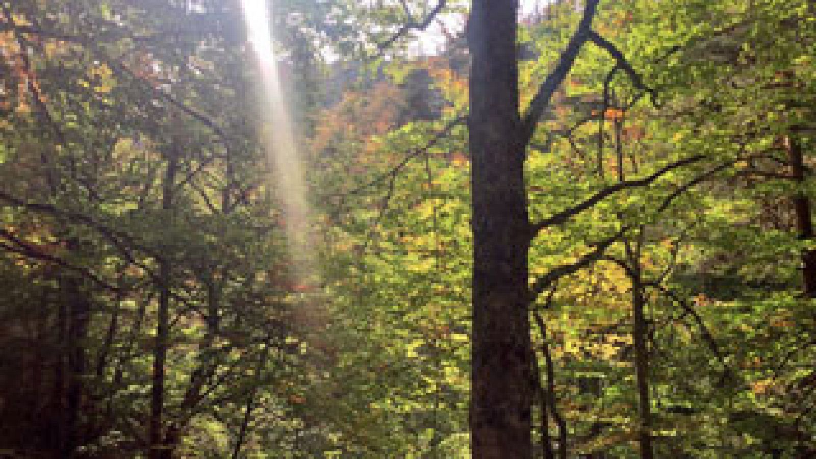 Un día en el Parque Natural de La Rioja