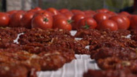 ¿Cómo se originó el tomate seco?