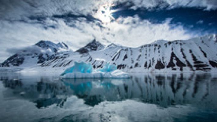 El Ártico ya ha perdido un 40% de sus glaciares debido al calentamiento global