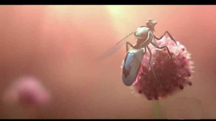 Emprende Digital - Emprende Digital - 14/10/16