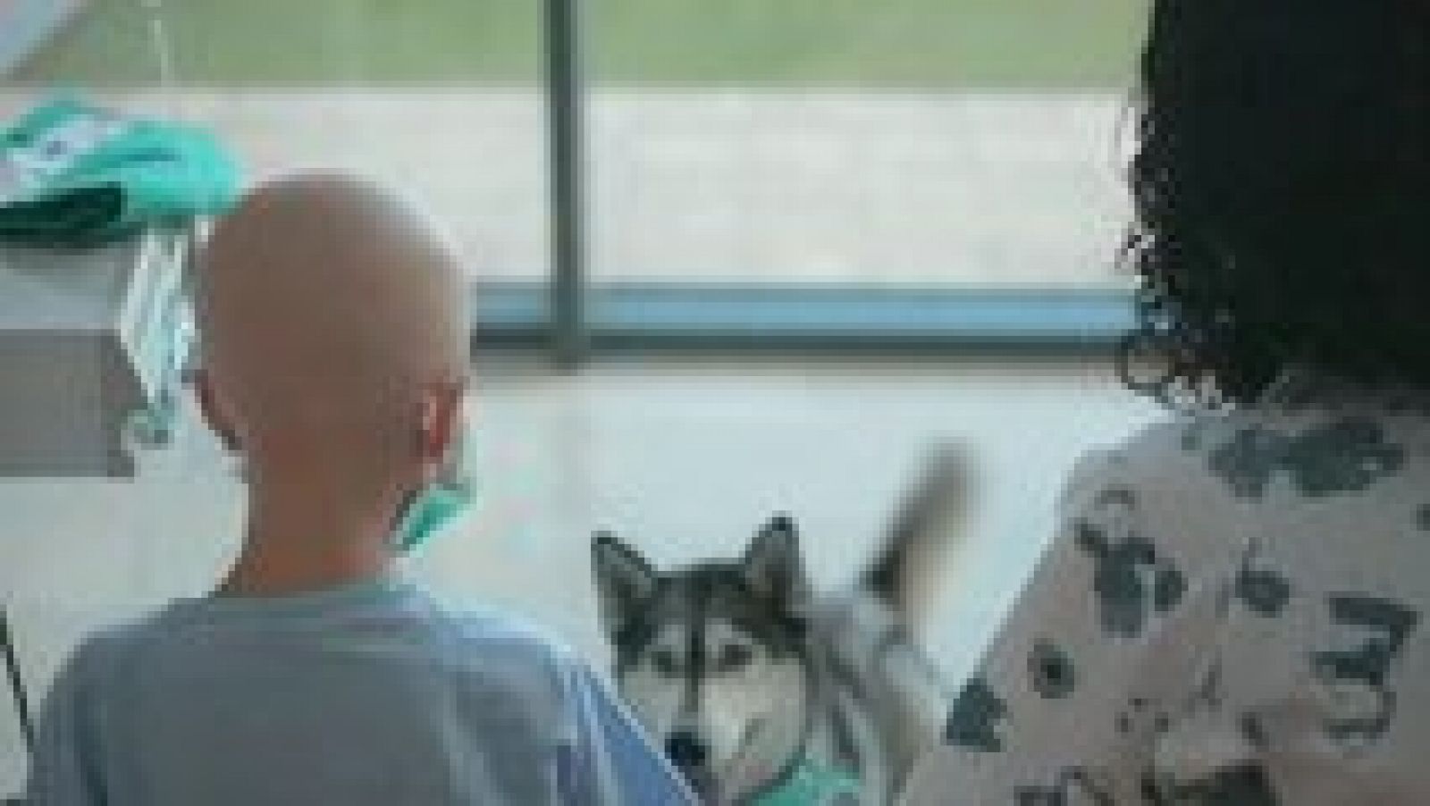 La Comunidad Valenciana en 2' - 17/10/16 - ver ahora