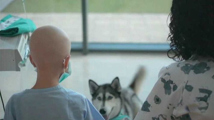 L'informatiu - Comunitat Valenciana - La Comunidad Valenciana en 2' - 17/10/16