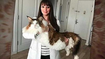 Hora punta - 17/10/16