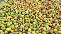 España Directo- La comarca de la sidra