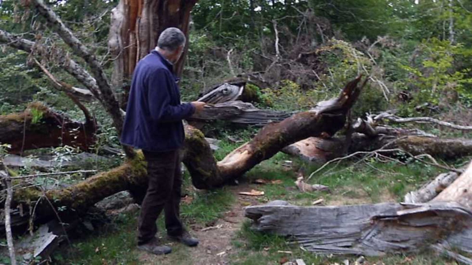Aquí la Tierra - 18/10/16 - ver ahora
