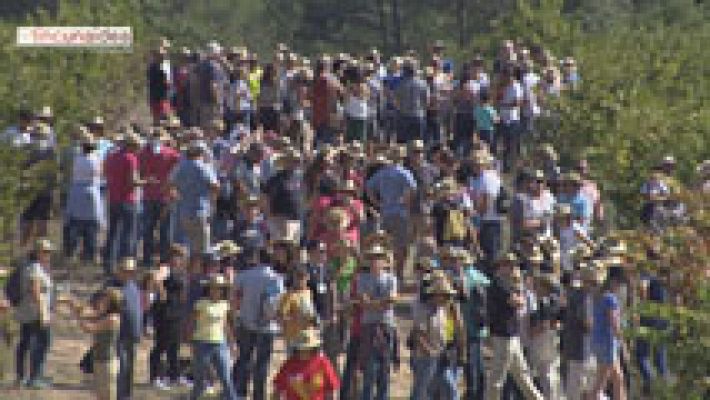 Tinc una idea - Verema solidària amb denominació d'origen