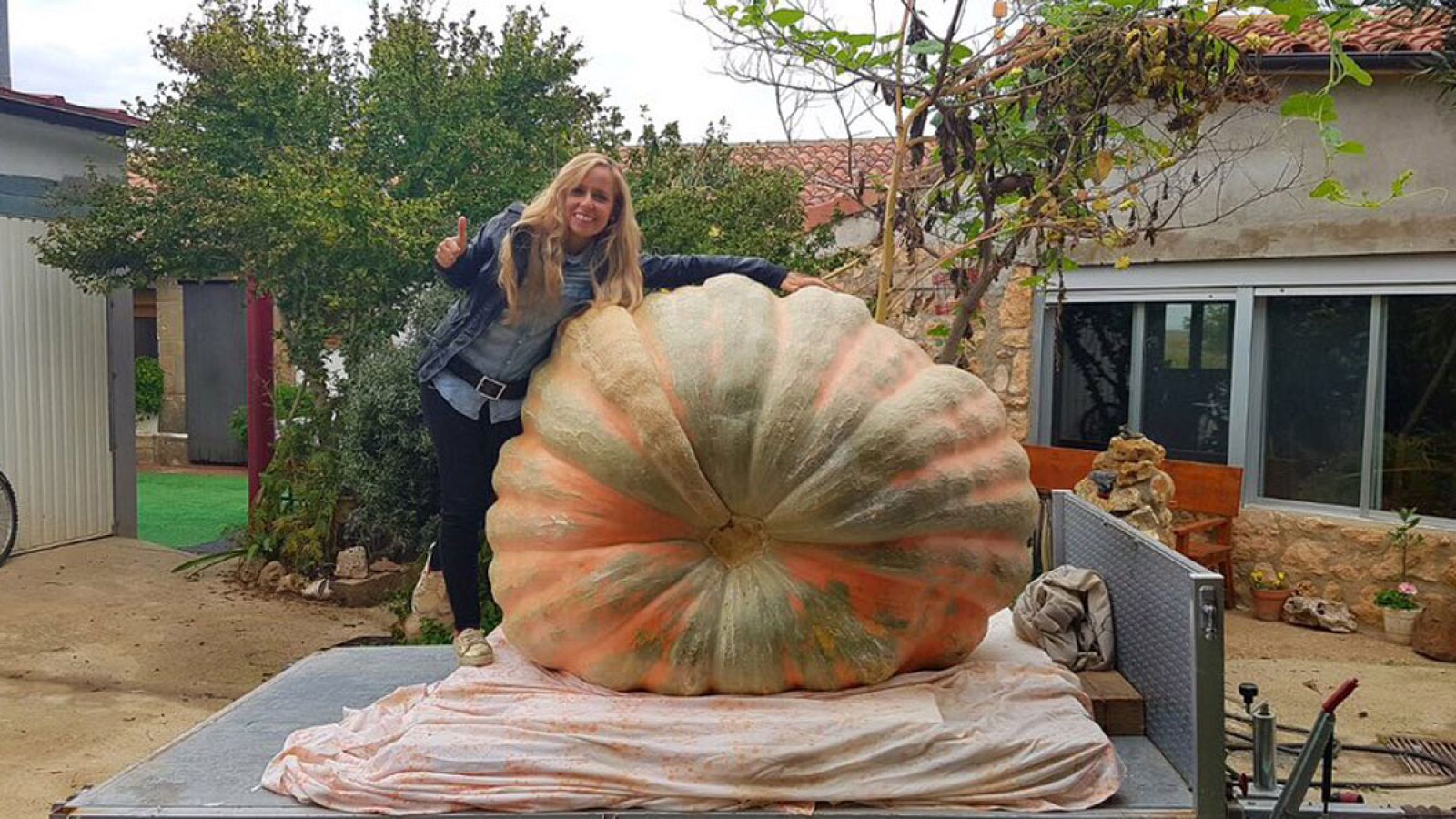 Una calabaza de 616 kilos