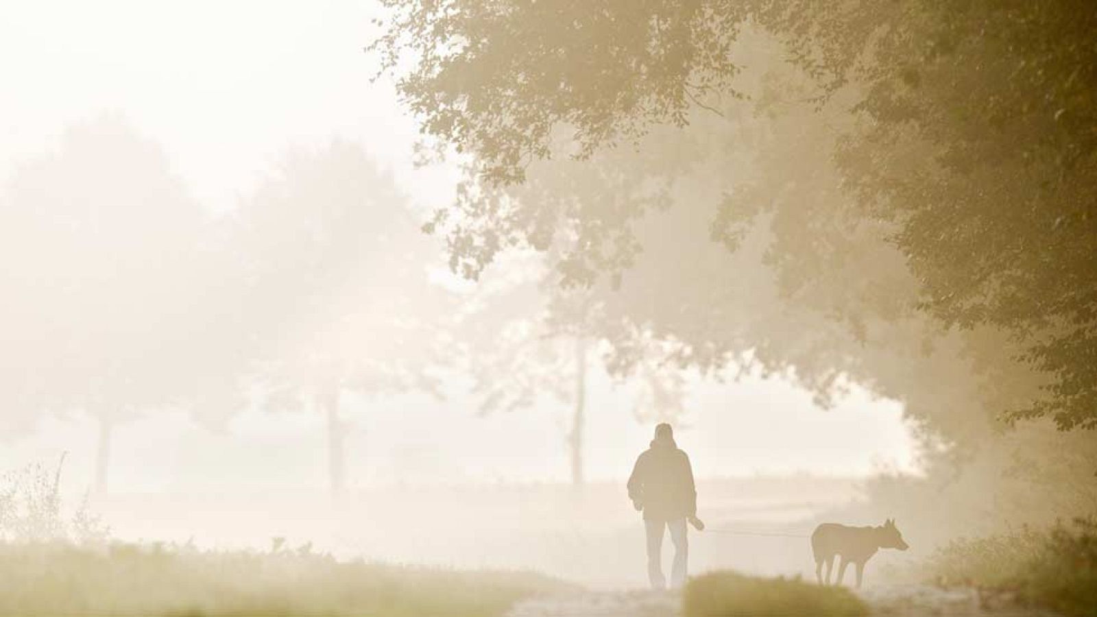 Muy nuboso en el centro y este y temperaturas normales