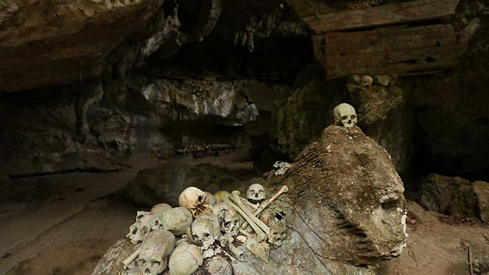 Pacífico: El triángulo de coral