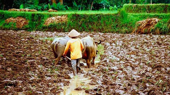 Las islas más salvajes de Indonesia: Mundos secretos