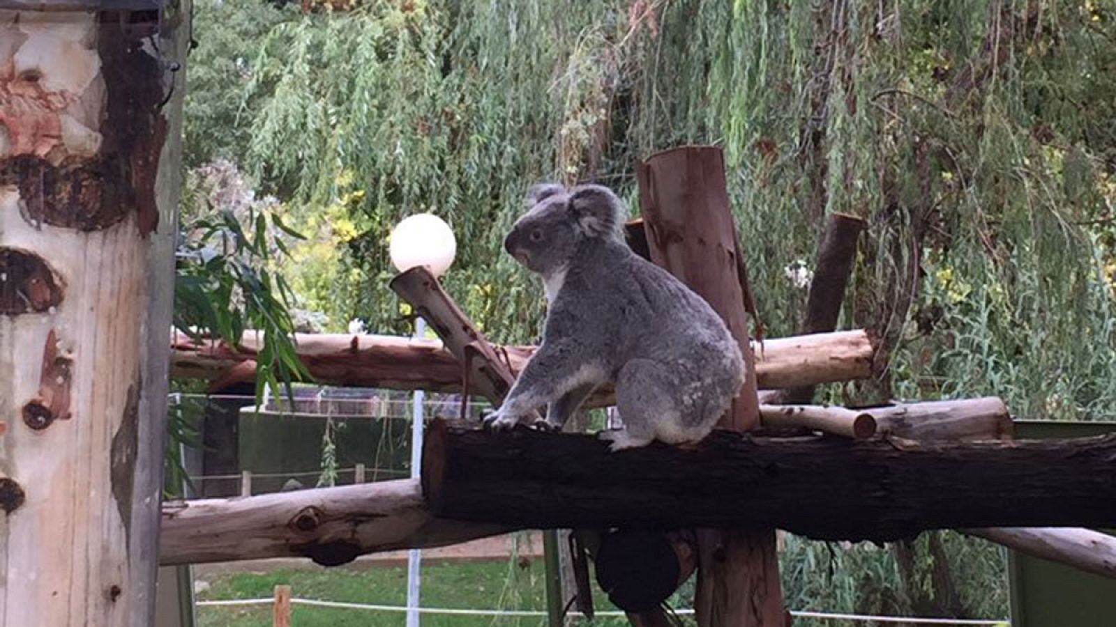 Un día en el zoo de Madrid