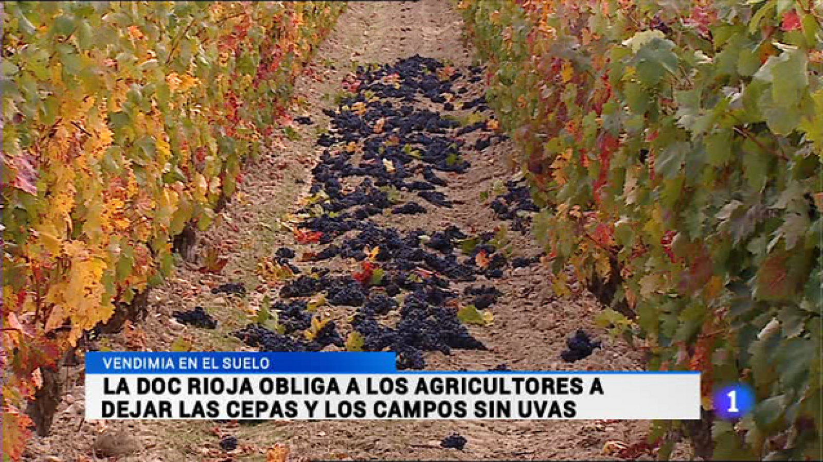 Telerioja en 2' - 21/10/16