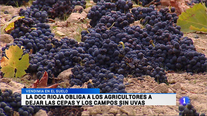 Informativo Telerioja - Informativo Telerioja 2 - 21/10/16