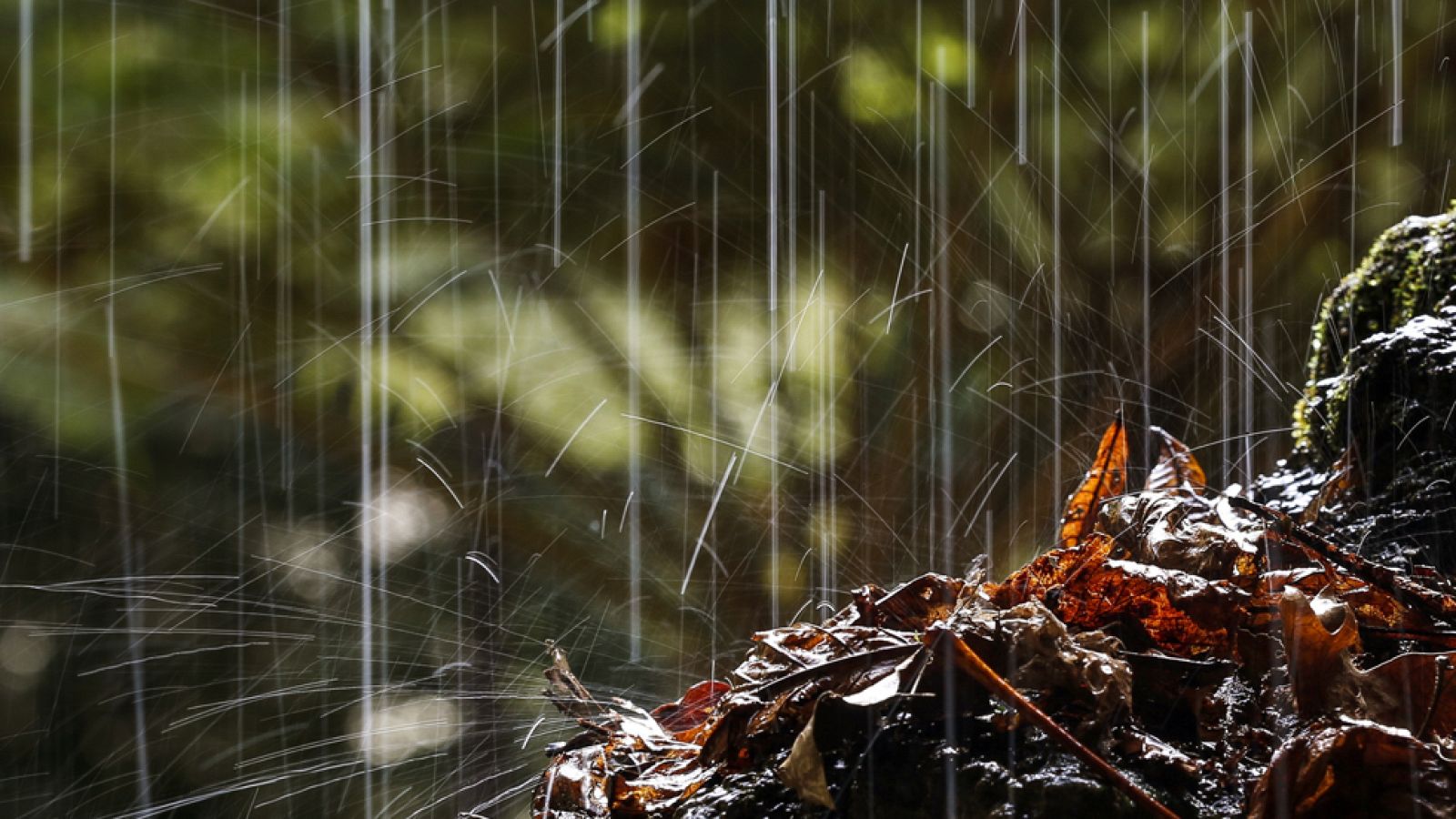 Una borrasca con frentes sucesivos dejará lluvias en todo  el país el fin de semana