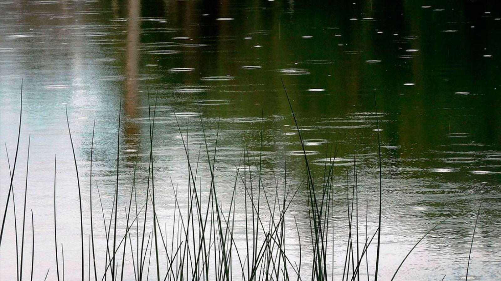 Precipitaciones fuertes en el suroeste, Sistema Central y noreste