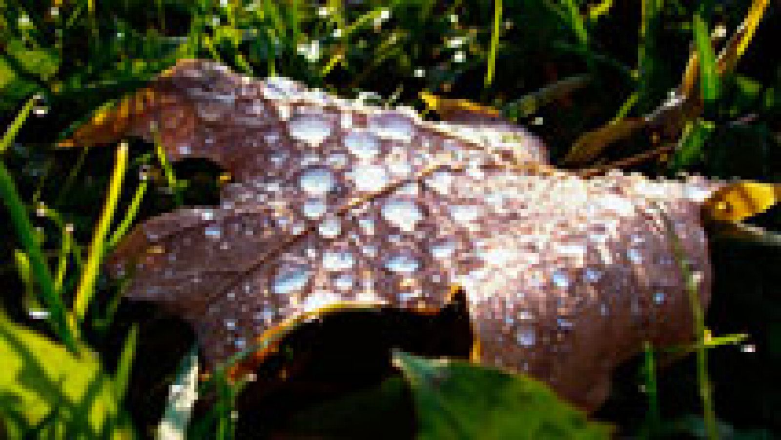 Cielos nubosos o cubiertos con precipitaciones en gran parte de la península y Canarias