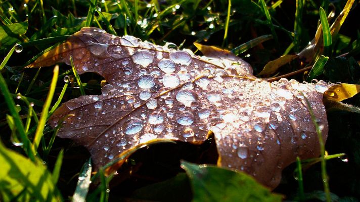 El tiempo - Cielos nubosos o cubiertos con precipitaciones en gran parte de la península y Canarias