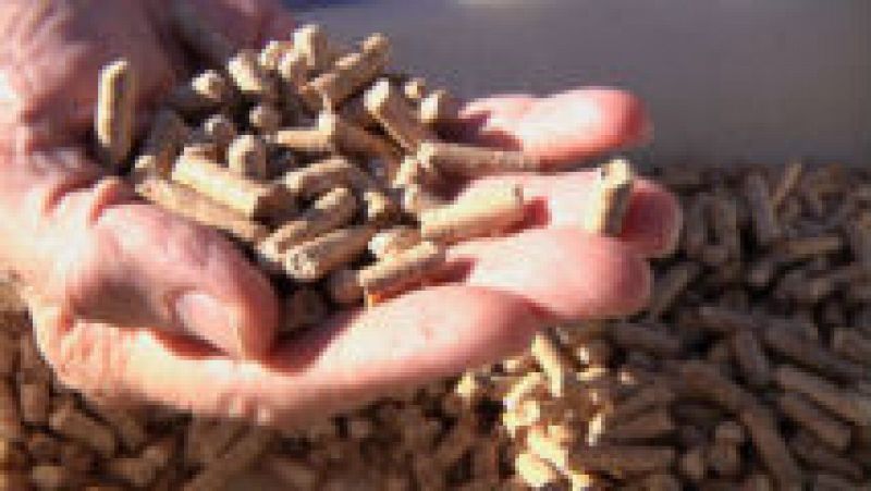  Pellet, un combustible eco