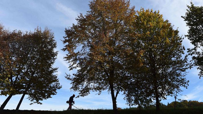 Informativo de Madrid - El Tiempo en la Comunidad de Madrid - 25/10/16
