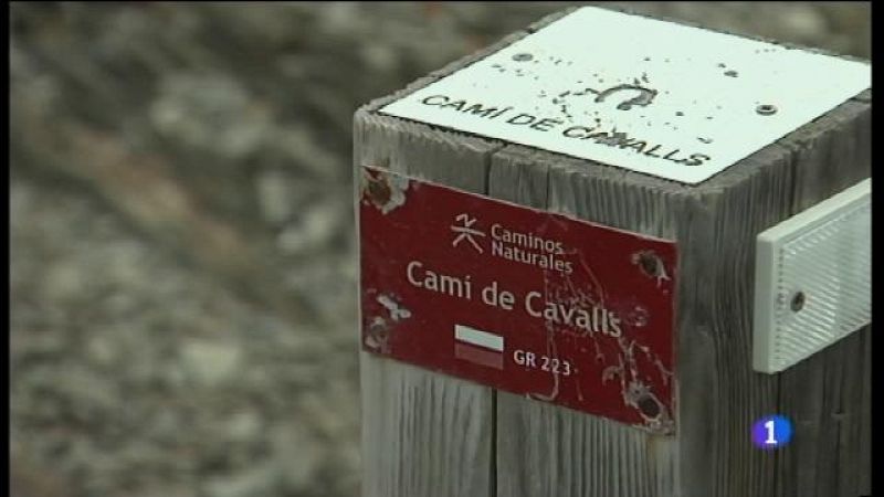 Millores pel camí de cavalls