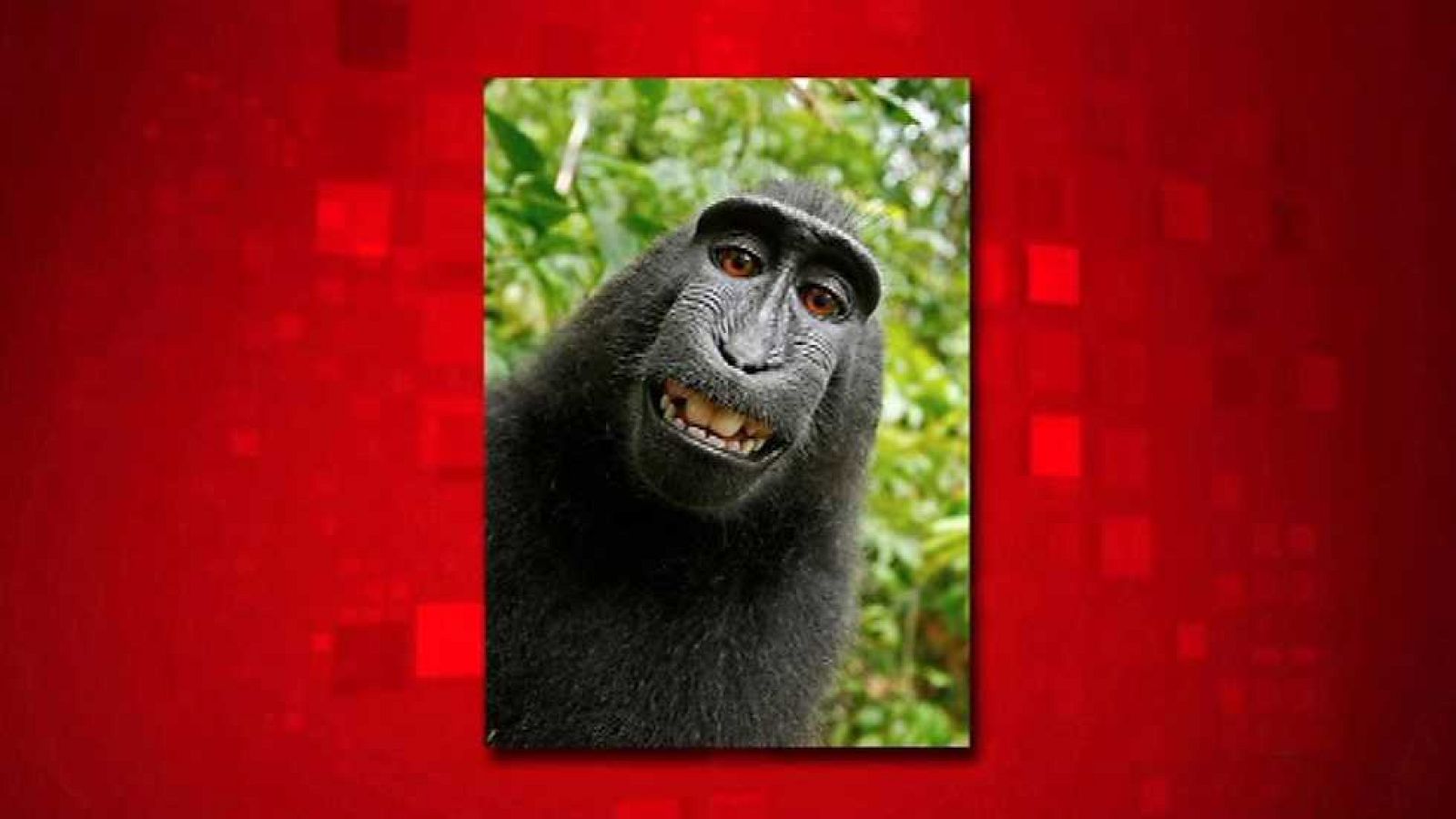 Saber y ganar - 25/10/16 - ver ahora