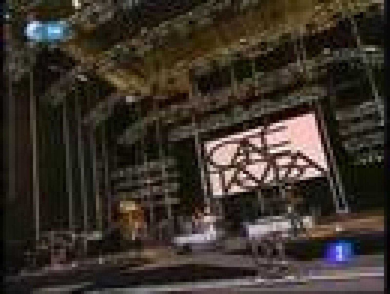 Café Tacuba celebra sus veinte años en la música en Madrid | Ver