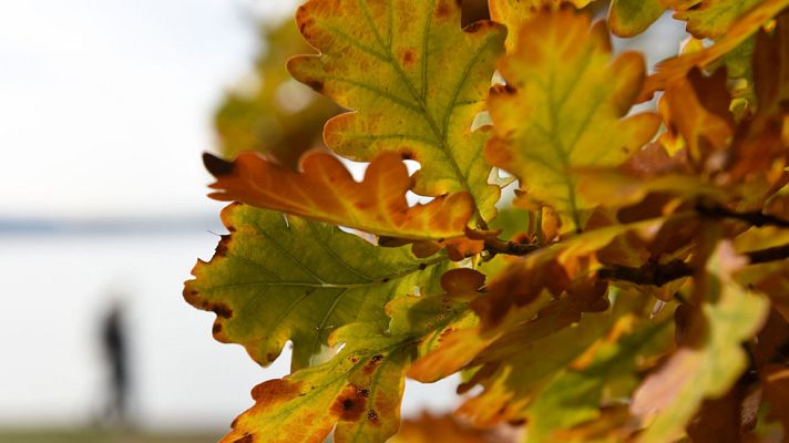 El tiempo - Lluvia fuerte en Canarias y más débil en Cataluña, Valencia y Melilla