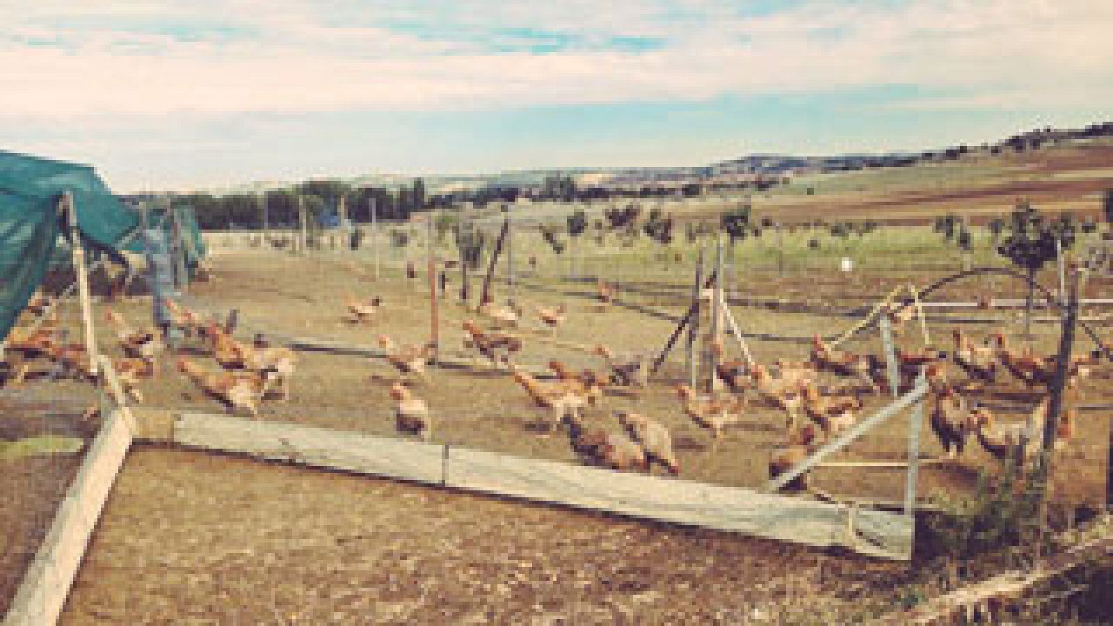 Vivir de otro modo: una granja ecológica  