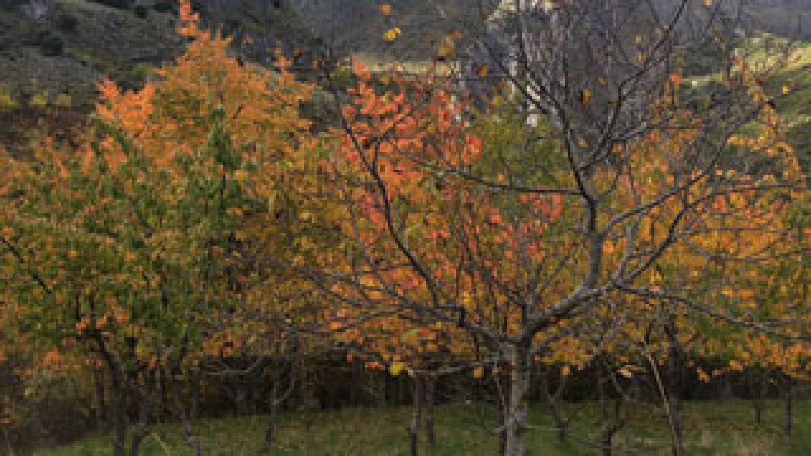 España Directo: El Valle del Silencio  | RTVE Play