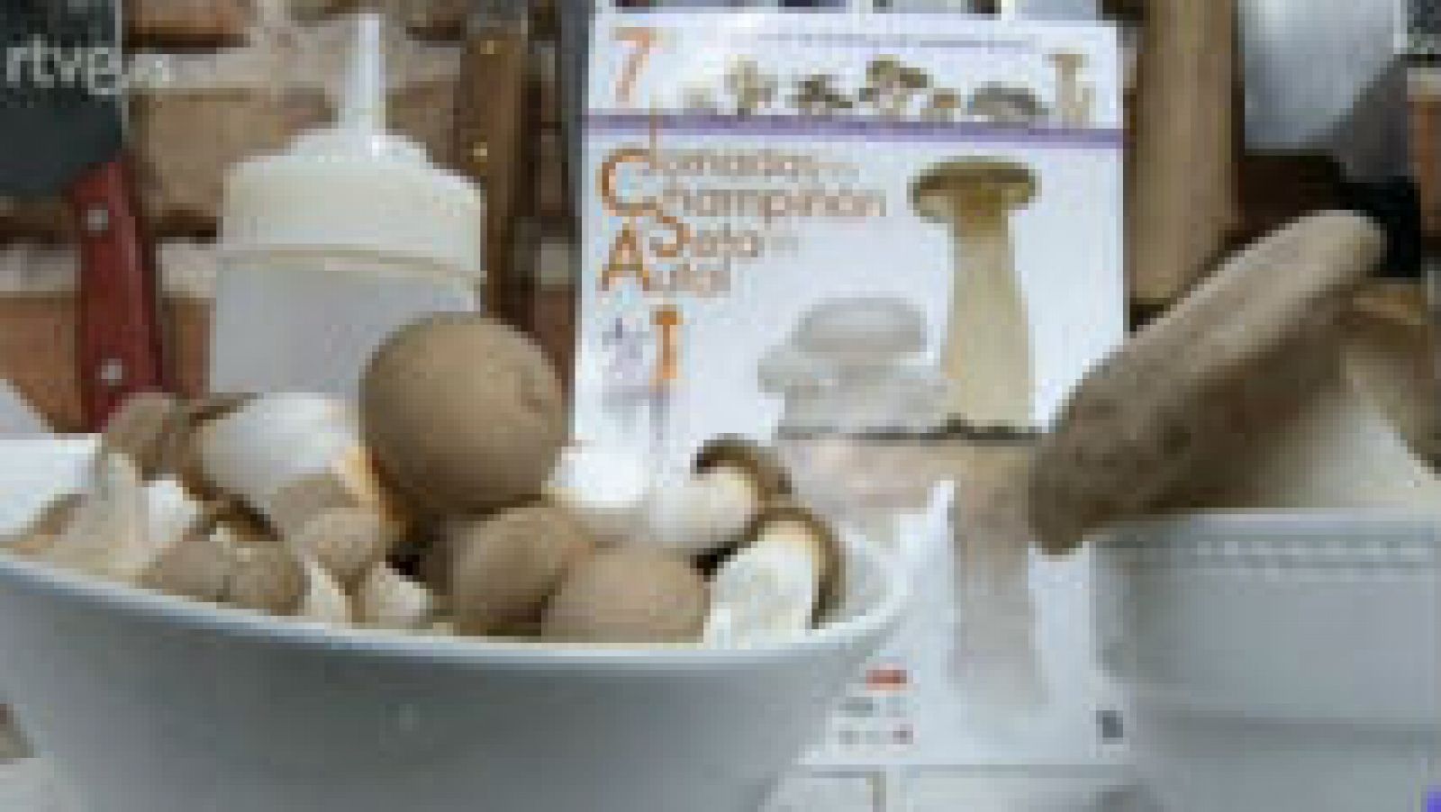 Recetas con setas