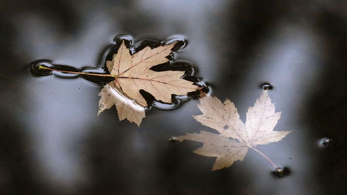 El tiempo - Lluvias en islas Canarias orientales y levante fuerte en el Estrecho