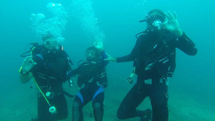 Grandes documentales - Pacífico: La isla salvaje